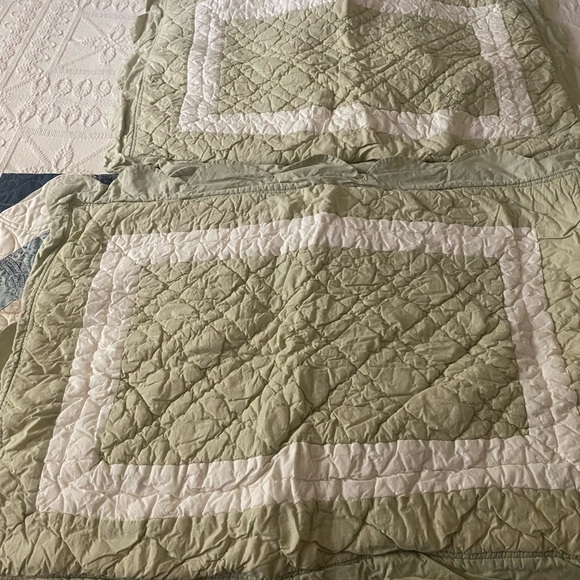 Pottery Barn Elegant Green and White Quilted Shams(pair) - Picture 3 of 7